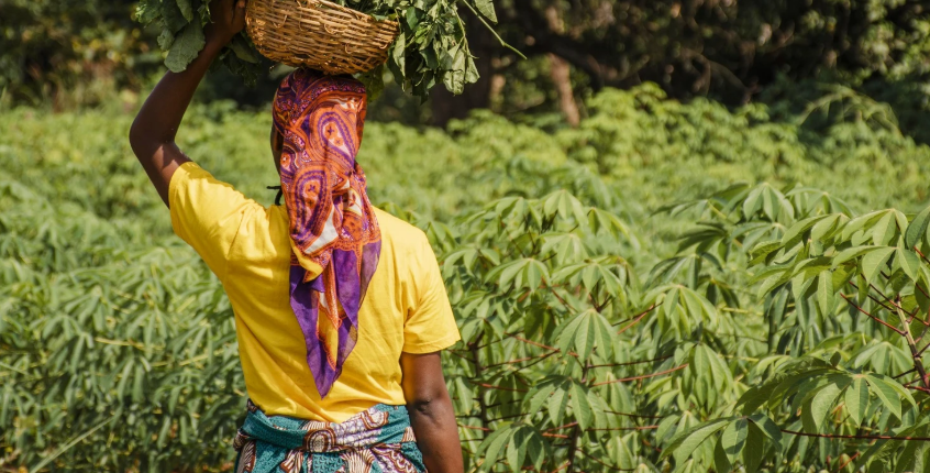 S’adapter aux réalités locales