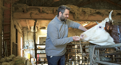 Le Barousse : des raisons d’en faire un fromage
