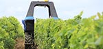 Machine ramasseuse de fruits