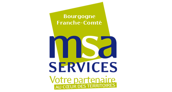 Logo MSA Services