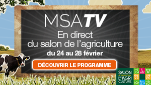 MSA TV SIA